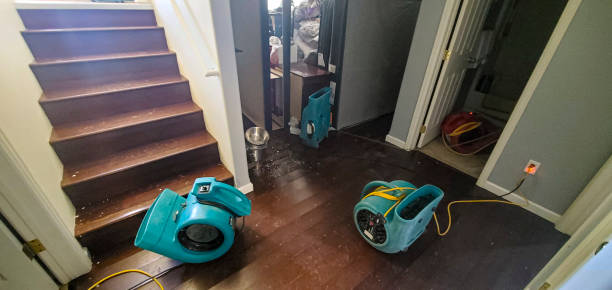 Best Mold removal after water damage  in Yorkshire, VA