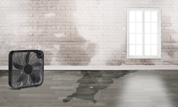 Best 24-hour water damage restoration  in Yorkshire, VA