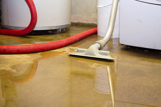 Carpet water damage restoration in Yorkshire, VA