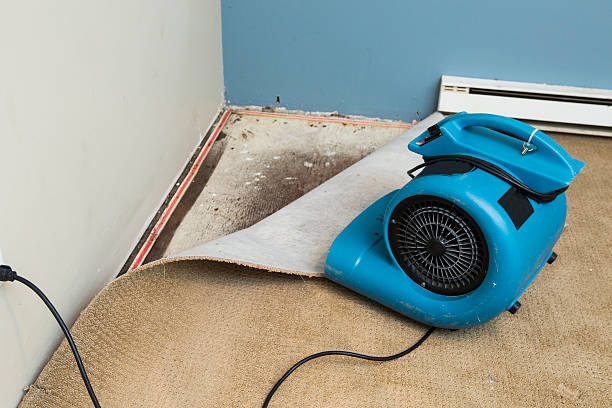 Best Professional water damage repair  in Yorkshire, VA
